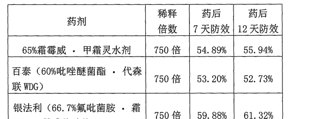 新手种植月季手册，你想知道的关于月季的事儿这里都有（下部）