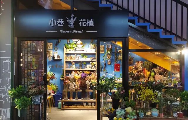 小巷花植：10平方米的楼梯间花店，却成上海网红打卡点