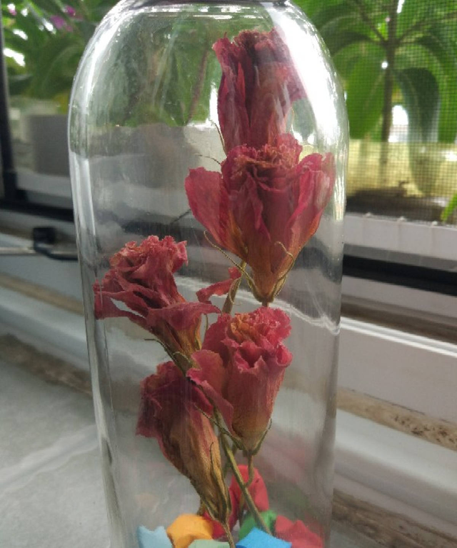 想要花期永驻？干花的制作方法，必须要掌握