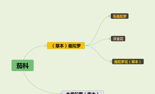 看到朋友养曼陀罗盆栽，不要太排斥，这花真没想象中那么恐怖