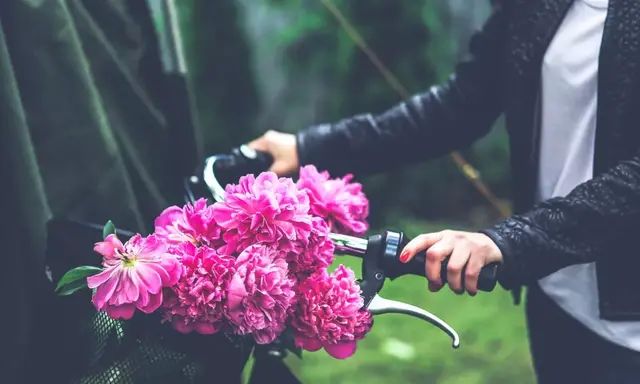 芍药季，花开醉心脾