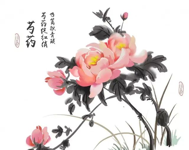 芍药季，花开醉心脾