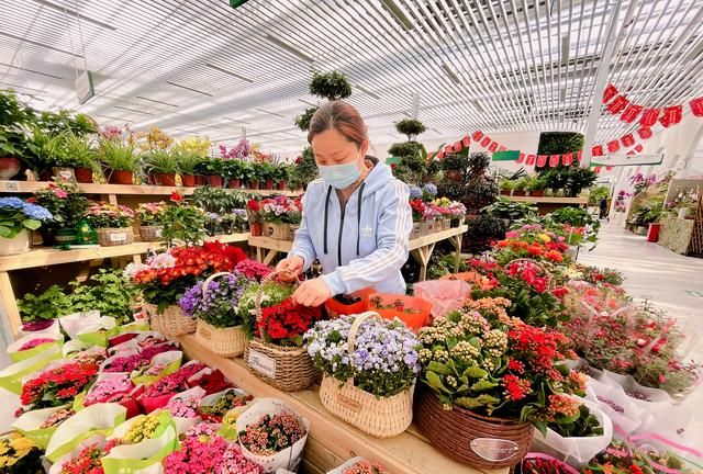 春意盎然 北京花卉交易中心线上线下购花忙