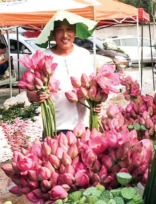 一步步走近的家庭荷莲市场 |“又到荷莲飘香时”专题