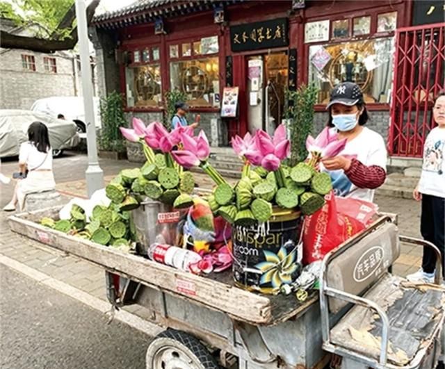 一步步走近的家庭荷莲市场 |“又到荷莲飘香时”专题