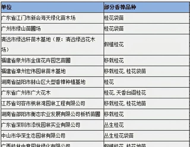 八月桂花树价格表及种植技术附带种植单位和图片分析「花木商情」