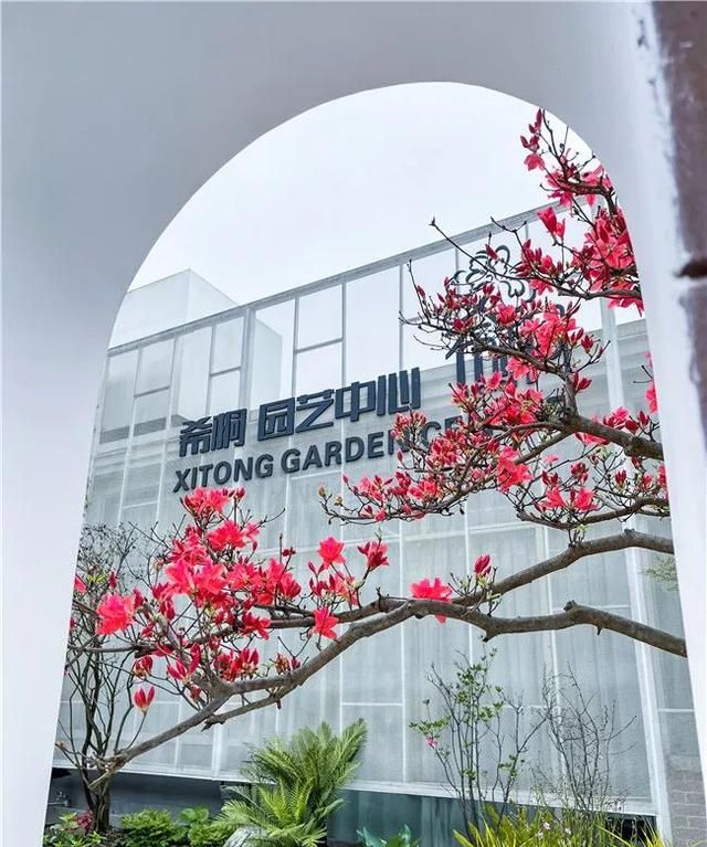 他在花市开了三家“非常规”花店，业绩不凡，成为同行学习的样板