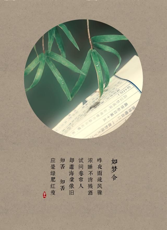 “绿肥红瘦”究竟是什么花，俗不可耐的红配绿如何成为清音雅韵的