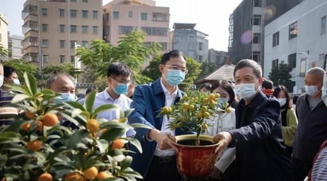 云中谁寄年花来，足不出户买买买！广州多区“云上花市”上线