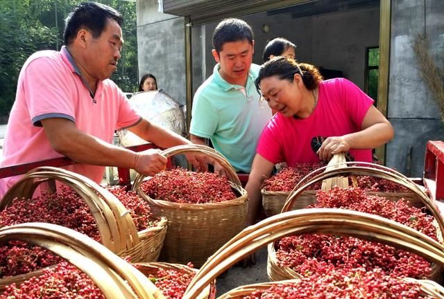 中国哪的花椒正宗？经过对比，这5个地方名气最大，有你家乡吗？