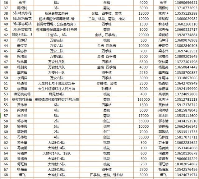 最全攻略来了，广州线上线下买年花看这里