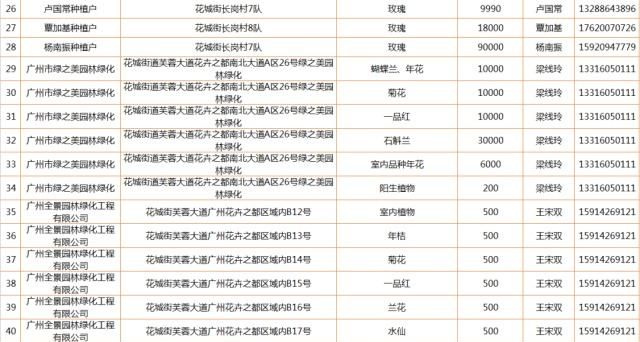 最全攻略来了，广州线上线下买年花看这里