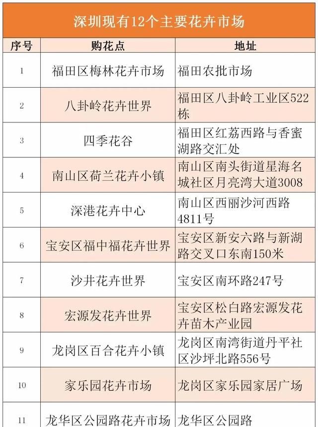 深圳迎春花市开启！全市350个购花点，看看哪个离你最近