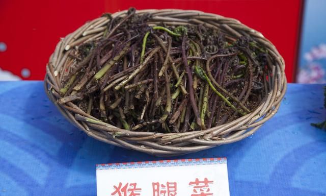 55种野菜大图片，带你见识不同的野菜和吃法，你想要的野菜这里有