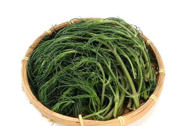 55种野菜大图片，带你见识不同的野菜和吃法，你想要的野菜这里有