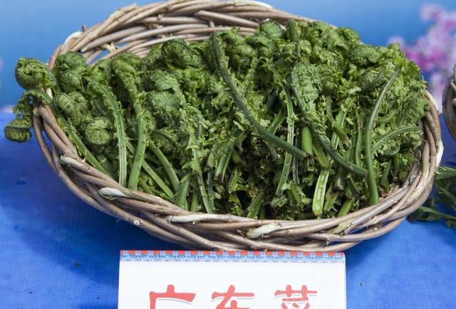 55种野菜大图片，带你见识不同的野菜和吃法，你想要的野菜这里有