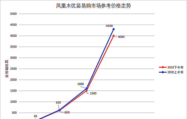 2020年凤凰木价格优苗易购最新行情分析