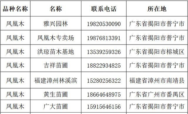 2020年凤凰木价格优苗易购最新行情分析