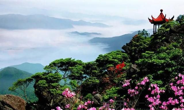 湖南十大春季赏花的地方，即将盛开艳丽的鲜花，欢迎你的到来