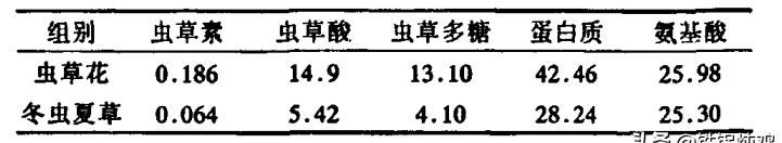 冬虫夏草花的功效，虫草花的功效作用及禁忌分别是什么图2