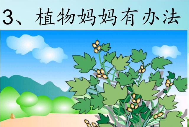 《植物妈妈有办法》句子仿写，坚持天天练，作文就不难