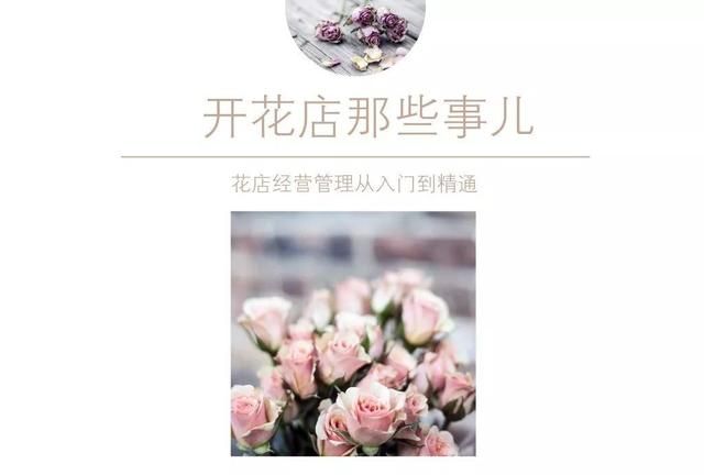 花语导购｜不同颜色百合花的花语大全