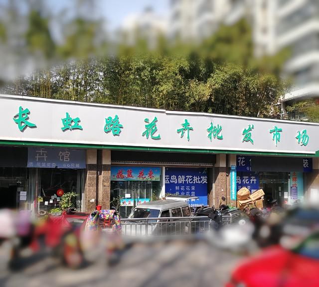 探秘南京两个最大花卉市场，开花店还是自己买都很合适