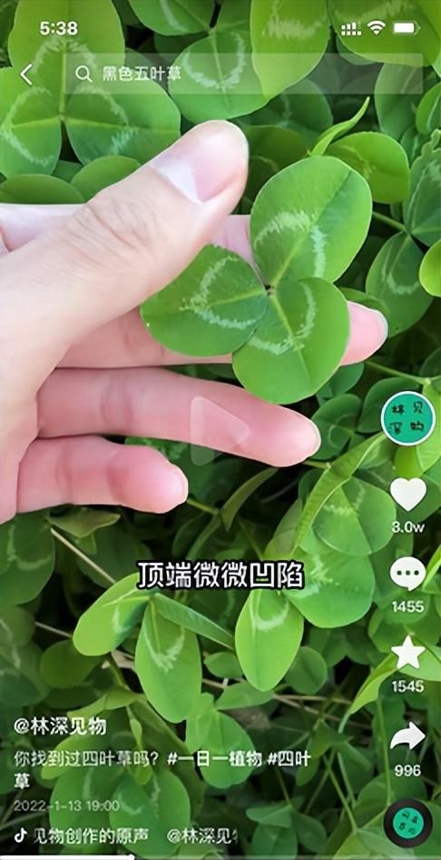 从生物老师到植物科普博主，他见过的植物比你吃过的菜还要多