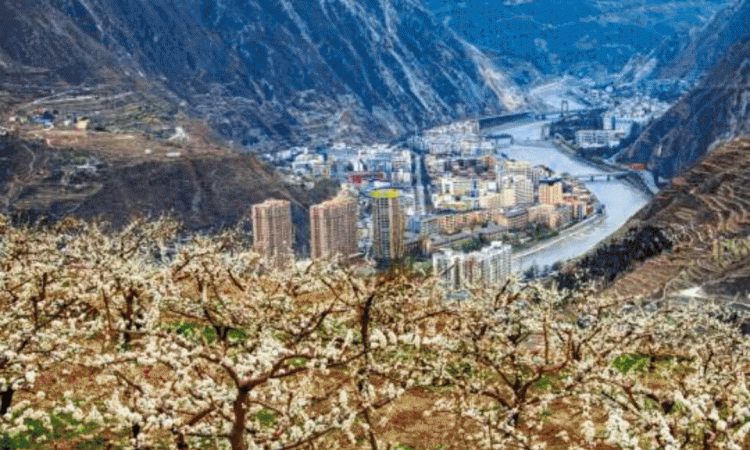 十里樱花漫山开，无忧汶川待你来！