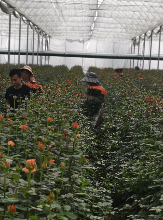 花盛锦简介 一家靠谱的鲜花交易平台