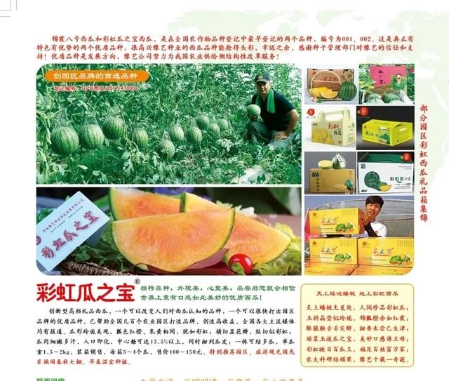 三月种的10种蔬菜(阳台种蔬菜怎么种)图1