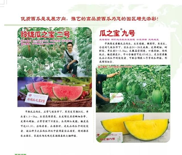 三月种的10种蔬菜(阳台种蔬菜怎么种)图2