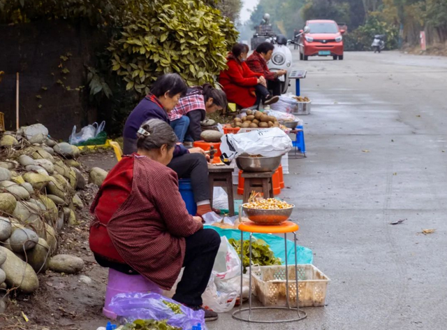 成都冷门赏银杏地：4000亩百年银杏林，免费看，自驾1h直达