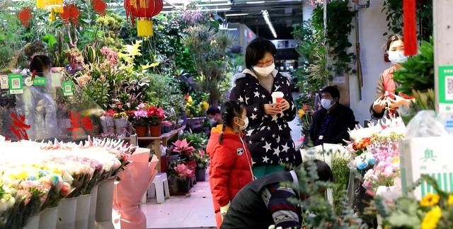 鲜花与书香浸润美好生活——海淀鲜花市场及书店客流量逐步增加