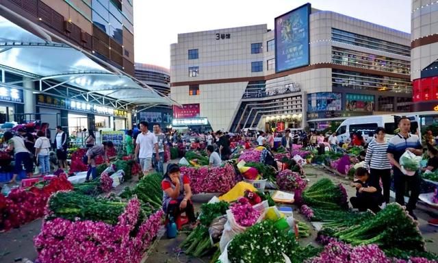 十块钱30支玫瑰，打卡全国最大的鲜花批发市场，买花比买菜便宜