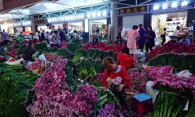 十块钱30支玫瑰，打卡全国最大的鲜花批发市场，买花比买菜便宜