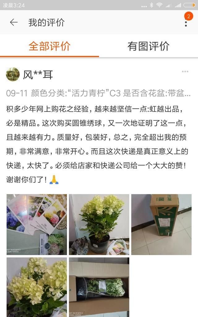 网购花卉靠谱吗(网购花卉店推荐)图5