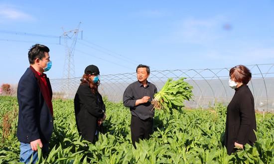 这种植物敢让世界再无饥饿