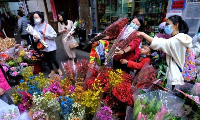 买花花，扮靓家！虎年春节临近，南宁花卉价格咋样？