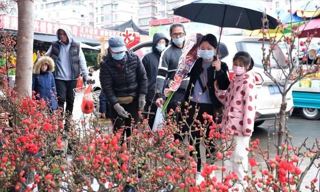 买花花，扮靓家！虎年春节临近，南宁花卉价格咋样？