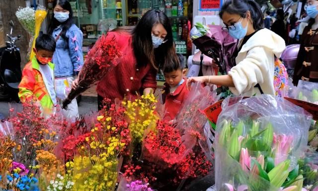 买花花，扮靓家！虎年春节临近，南宁花卉价格咋样？