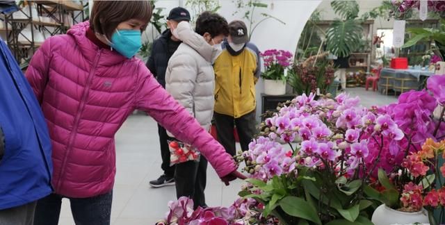 客流量猛增，北京年宵花市场销售火热