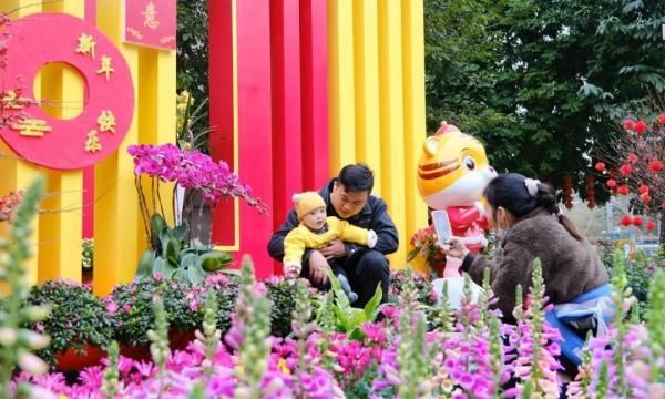 广州传统花市回归！11区2023年迎春花市安排都在这里了