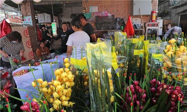 春节到，逛广州最大的岭南花卉市场，买盆年花就过年