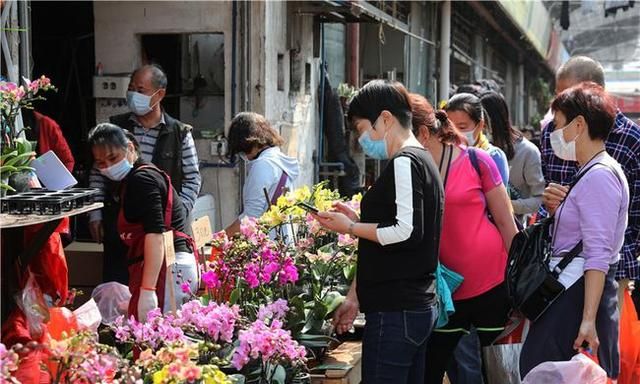 春节到，逛广州最大的岭南花卉市场，买盆年花就过年