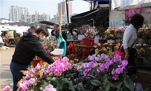 春节到，逛广州最大的岭南花卉市场，买盆年花就过年