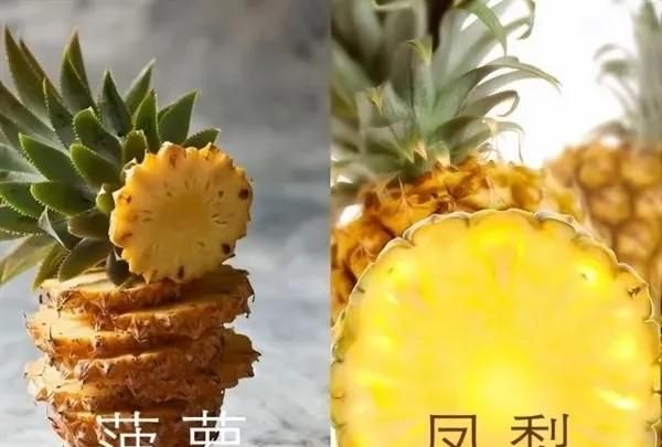 菠萝和凤梨的区别是什么？菠萝的心是硬的吗？看完就知道了