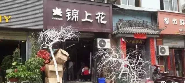 西安比较文艺的花店(西安花店)图2