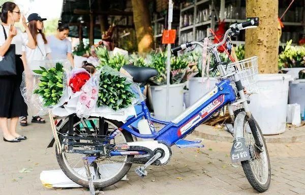 深圳最全花木市场合集图34