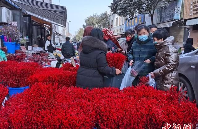 （新春走基层）西安花市春节“不打烊” 热销芬芳“年味儿”